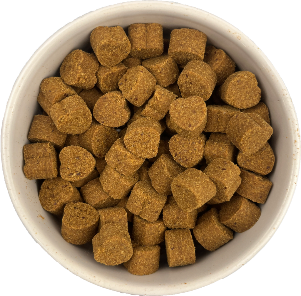 RICH CHOICE SUPER CONCENTRATED LECITHIN EXTRACT Rich Choice Holistic