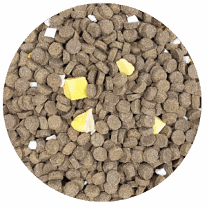 RICH CHOICE_OVEN BAKED LARGE BREED